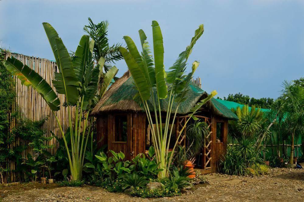 Oyo 678 Blessie'S Bed And Breakfast Puerto Princesa ภายนอก รูปภาพ